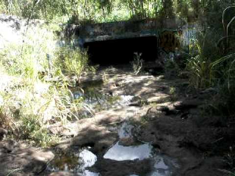 Kipapa Gulch Video 1