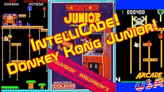 Donkey Kong Junior! (Intellivision)
