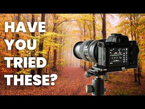 10 Autumn Photography Tips You Must Try This Season!