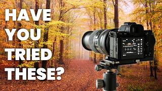 10 Autumn Photography Tips You Must Try This Season!