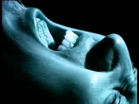 Personal Signet - Insomnia