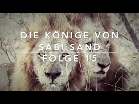 The Kings of Sabi Sand - Episode 15