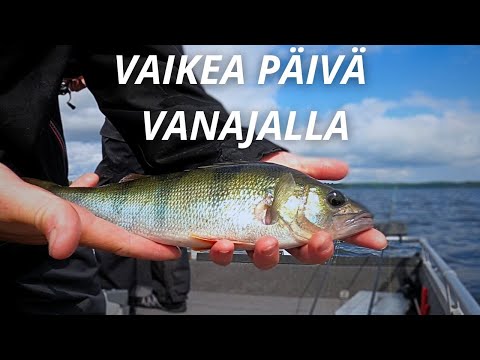 AHVENTA ETSIMÄSSÄ | VANAJAVESI