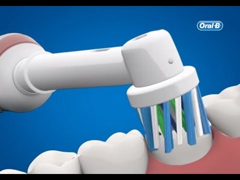 Oral-B | Dantų šepetėlis replacement | EB50-2 Cross Action | Heads | Suaugusiems | Šepetėlių skaičius galvutės įeina 2 video