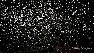 Download lagu Tingkah Desta ketika ketemu gisel, spesial kangen OVJ mp3 Download lagu Tingkah Desta ketika ketemu gisel, spesial kangen OVJ mp3