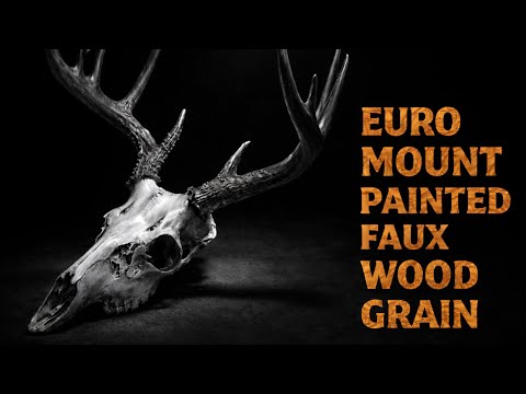 Euro mount deer trophy how to paint faux wood grain.