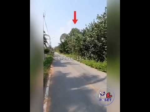 ขายที่ดินเปล่า ย่าน ทางหลวงชนบท3046 ซอยเจริญชัย คลองเขิน อำเภอเมือง สมุทรสงคราม : ใกล้บ้านสวนมะพร้าวอ่อนรีสอร์ท : 1-3-52.2 ไร่ : CODE NN-91387 – รูปที่ 2