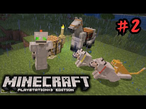 Unlock Rare Pets and Hidden Locations in Minecraft PS3 Edition!