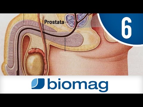 Owies posiłek potencja Impotencja w dzieciństwie