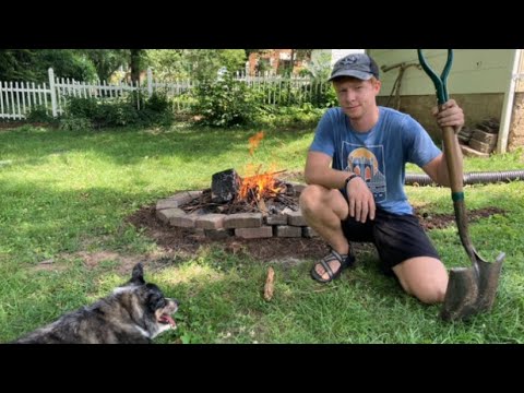 image-Are fire pits safe for dogs?