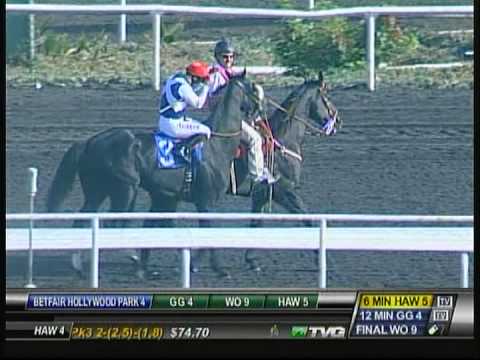 Zenyatta's Half-Sister - Eblouissante - 2012 Hollywood Park Maiden Race