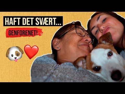 TILBAGE FOR FULD SMADDER | WEEKENDVLOG: TILBAGE I DANMARK OG GENFORENET MED MIN FAMILIE