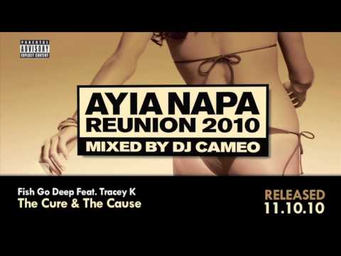 Ayia Napa Reunion 2010 mixed by DJ Cameo Mega Mix  (Ministry of Sound)