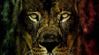 Abassi all stars-cities.wmv