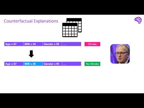 Explainable AI explained! | #5 Counterfactual explanations and adversarial attacks