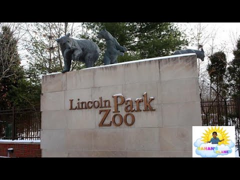 Sahan at zoo park,Chicago #reptals#snakes#animals#