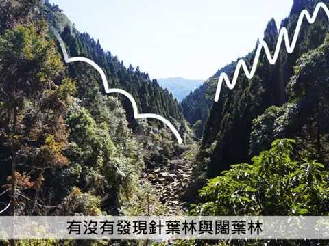 穿林棧道導覽影片-仙人台