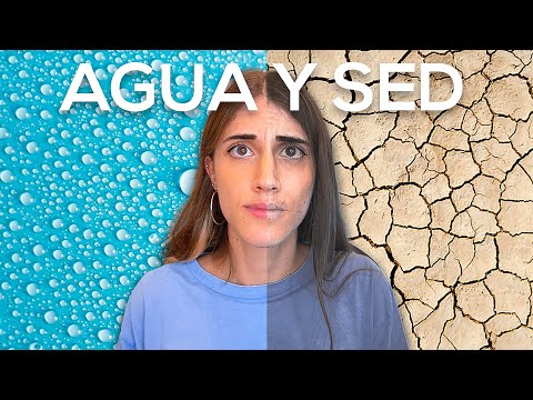 ¿Qué pasa si NO bebemos AGUA?
