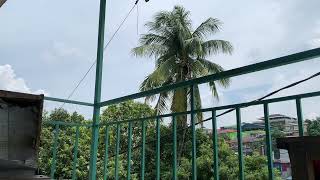 Download lagu TANPA IKLAN  / FULL ALBUM IWAN FALS  mp3