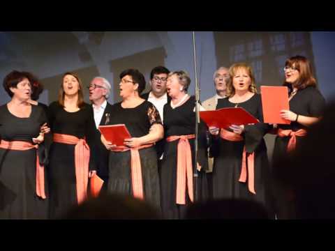 Nemam milo, nemam drago - Vox Lychnidos