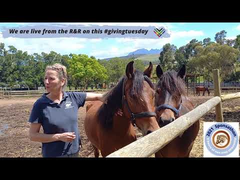 Join our 2021 Sponsathon