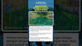 Legenda Ikan Dewa di Rambut Monte Ikan Keramat yang Diyakini Membawa Berkah dan Petaka