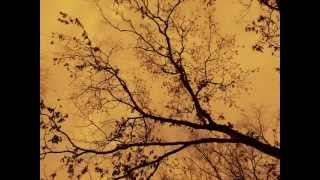 My First Music Video: Oceano-Slaughtered Like Swine