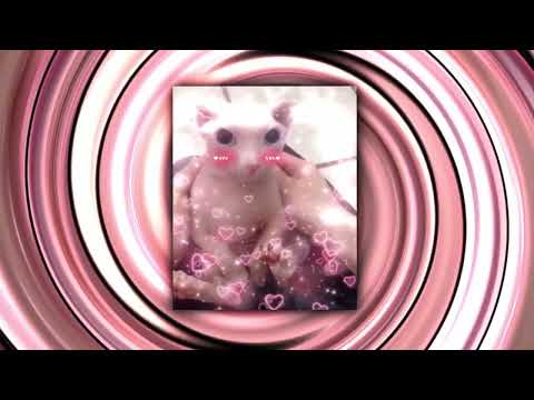 FRUCHTMAX Feat. NURA - WENN ICH WILL (ENVY - BINGUSTEKK EDITION)