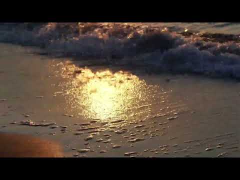 FaFiK PNN - Relax (prod. NDJay )