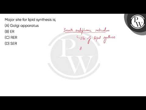 Major site for lipid synthesis is;....