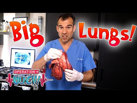 How Big are your Lungs? 🧐 | Experiments at Home | Full Episodes | Operation Ouch
