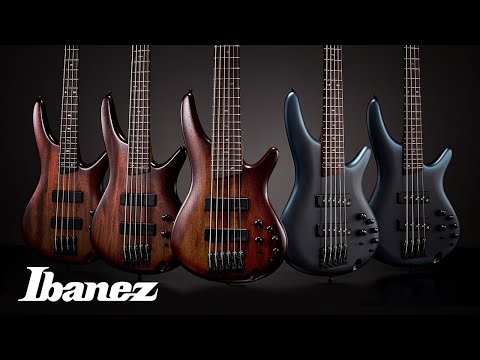 Ibanez - SR505N | SR Standard Series Five String Bass / Midnight Arctic Ocean Matte image 10