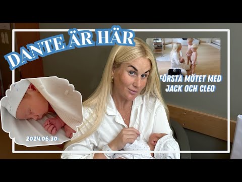 MIN FÖRLOSSNING | Dante är här!