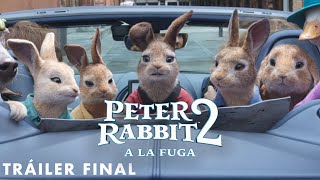 PETER RABBIT 2: A la fuga