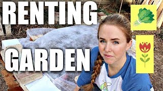 Verhoogd tuinbed voor een huurhuis zal geen schade aan eigendommen veroorzaken als u weggaat