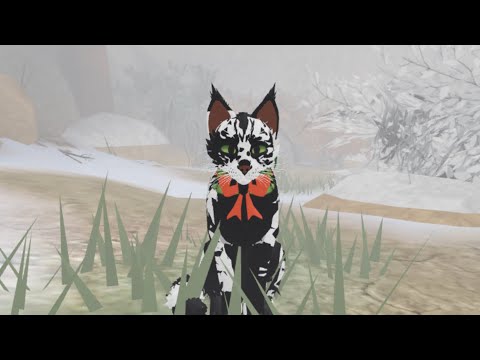 When you go to the moonstone as a leader in WCUE (Roblox)