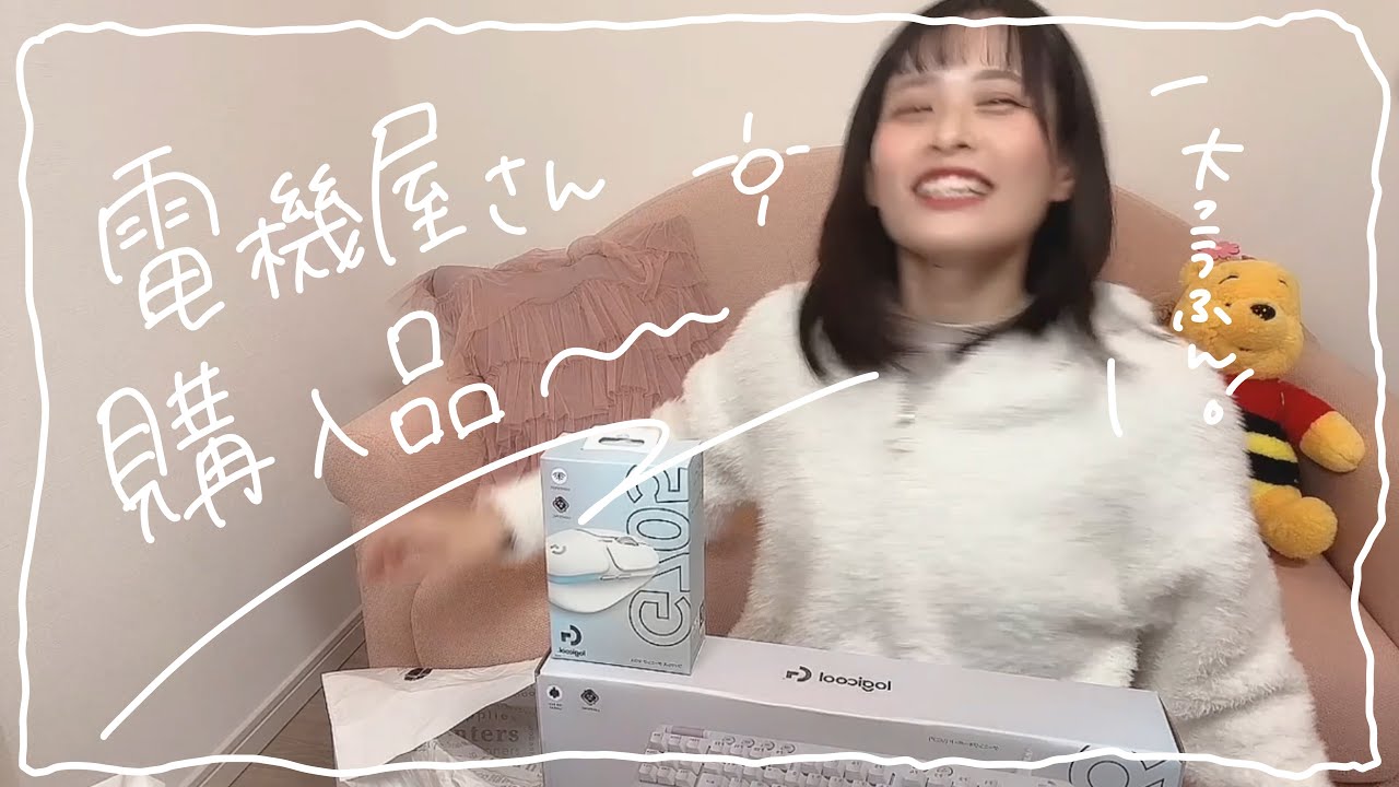 【 買い物 】電気屋さん行った【 ばばなつみ 】