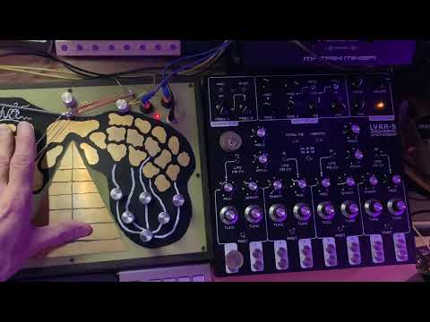 Remembering Beauty 1 by John Oliver featuring SOMA enner lyra8 synthesizers