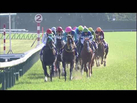 2018 Tenno Sho-Spring (G1)