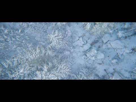 넬(NELL) ‘인정의 미학’ Official Lyric Video