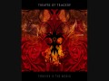 Theatre Of Tragedy - Frozen [New song 2009 HD]
