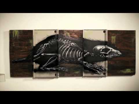 ROA street artist profile film by filmmaker Colin M Day - Warholian