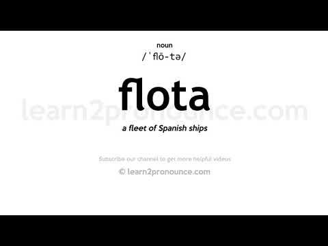 Pronunciation of Flota | Definition of Flota