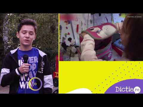 IOSIF CHITESCU: Cât cântărește ghiozdanul unui copil de clasa a IV-a - Școala TV Dicție.ro