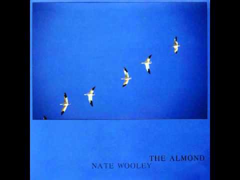 Nate Wooley - The Almond (First 5 minutes)