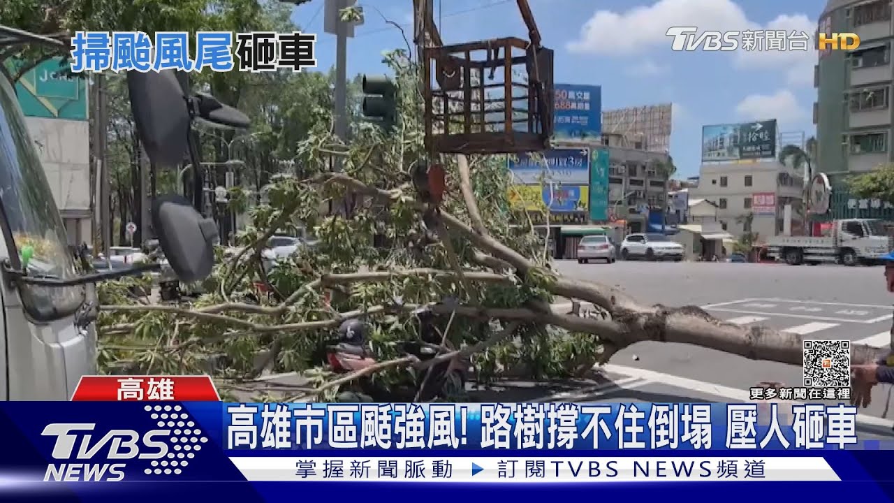 高雄市區颳強風!路樹、電桿全撐不住倒塌 壓人砸車