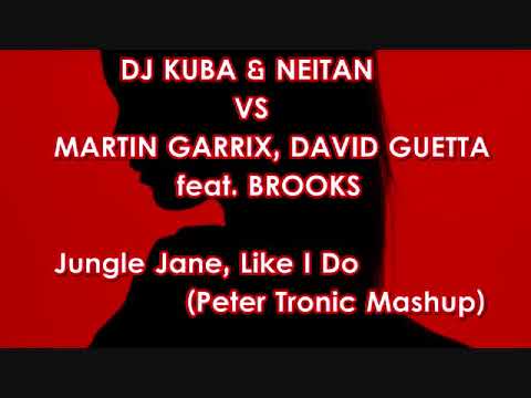 DJ KUBA & NEITAN vs Martin Garrix - Jungle Jane, Like I Do
