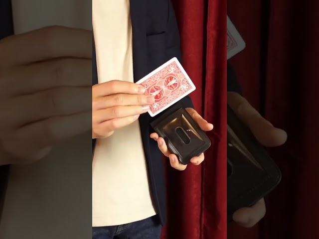 Vídeo relacionado con Flash Cash Wallet - 10x7.5cm Flick Wallet Prop, un dispositivo de entretenimiento fascinante | Trucos de magia interactivos y divertidos, billeteras de magia de dinero instantáneas para reuniones