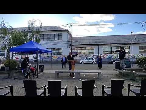 Camahueto Puerto Montt, región de los lagos 🎺