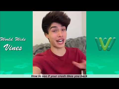 Alan & Alex Stokes Instagram Videos   Funny Stokes Twins Videos 2019